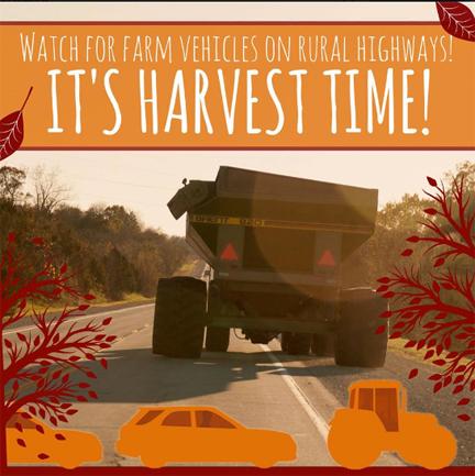 Harvest Time